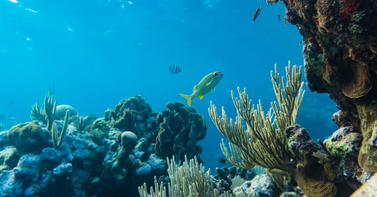 Belize