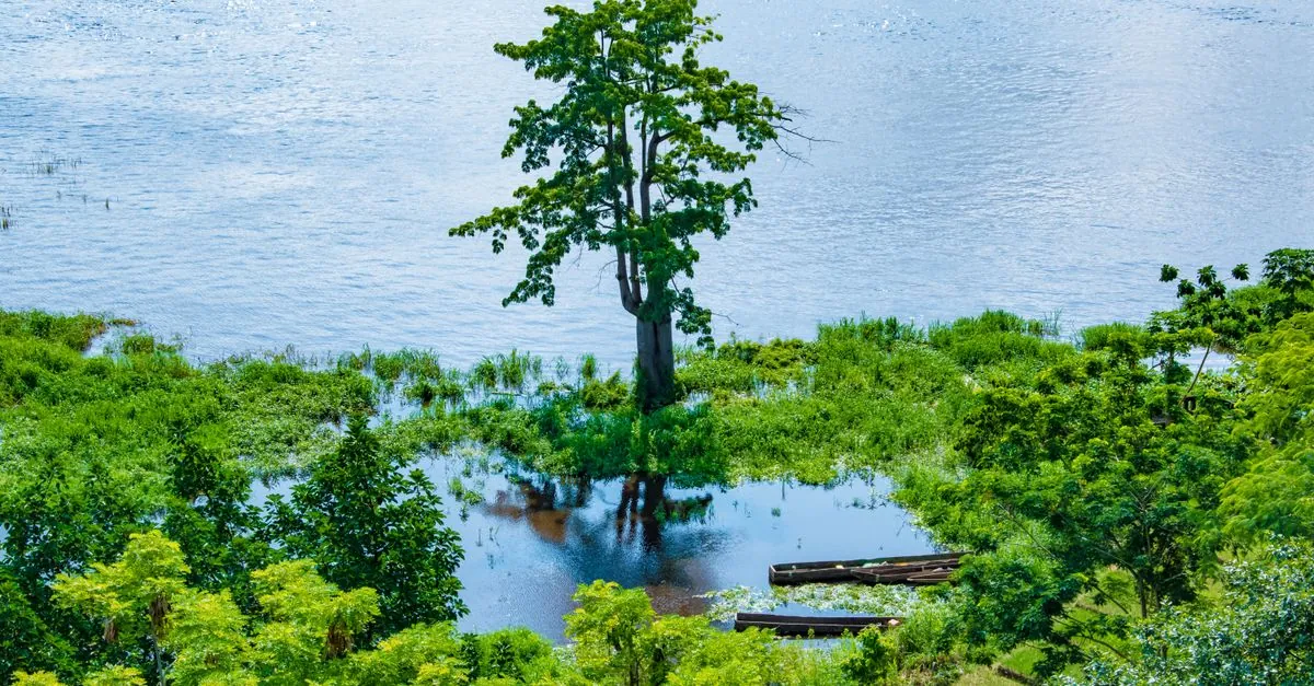 Republic of the Congo