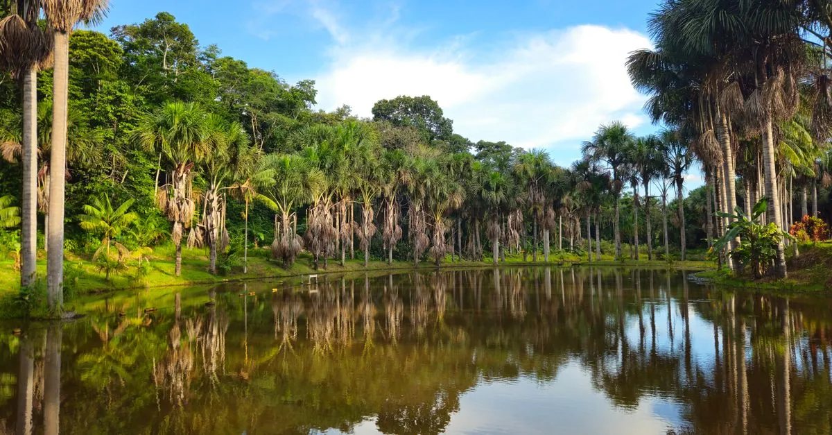 French Guiana