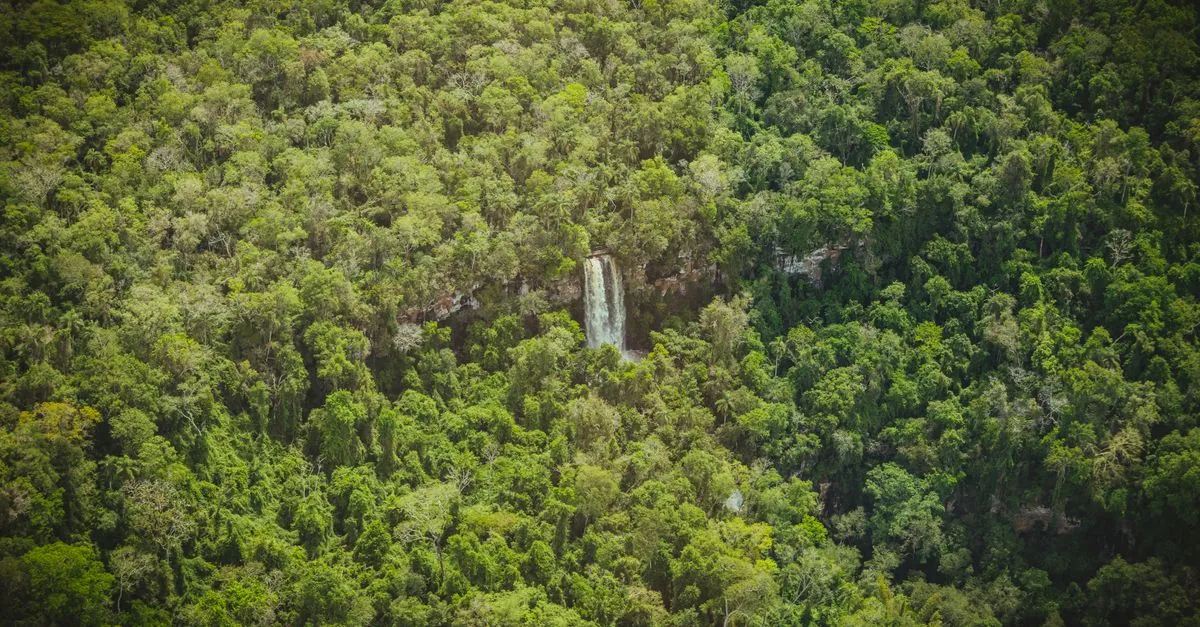 Guyana