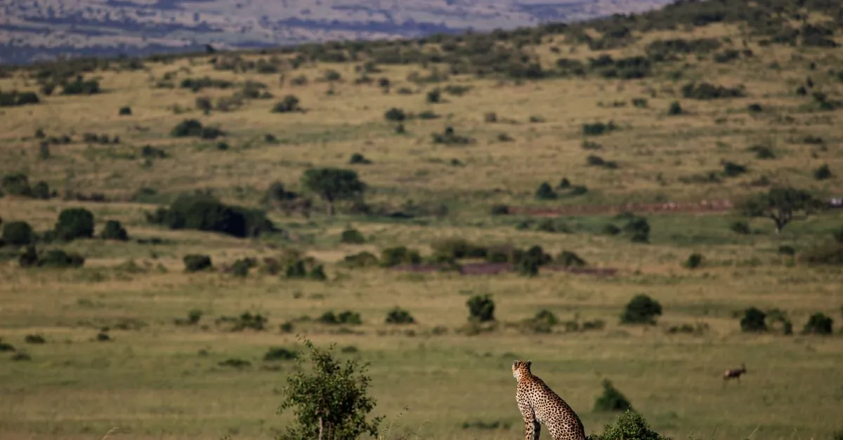 Kenya