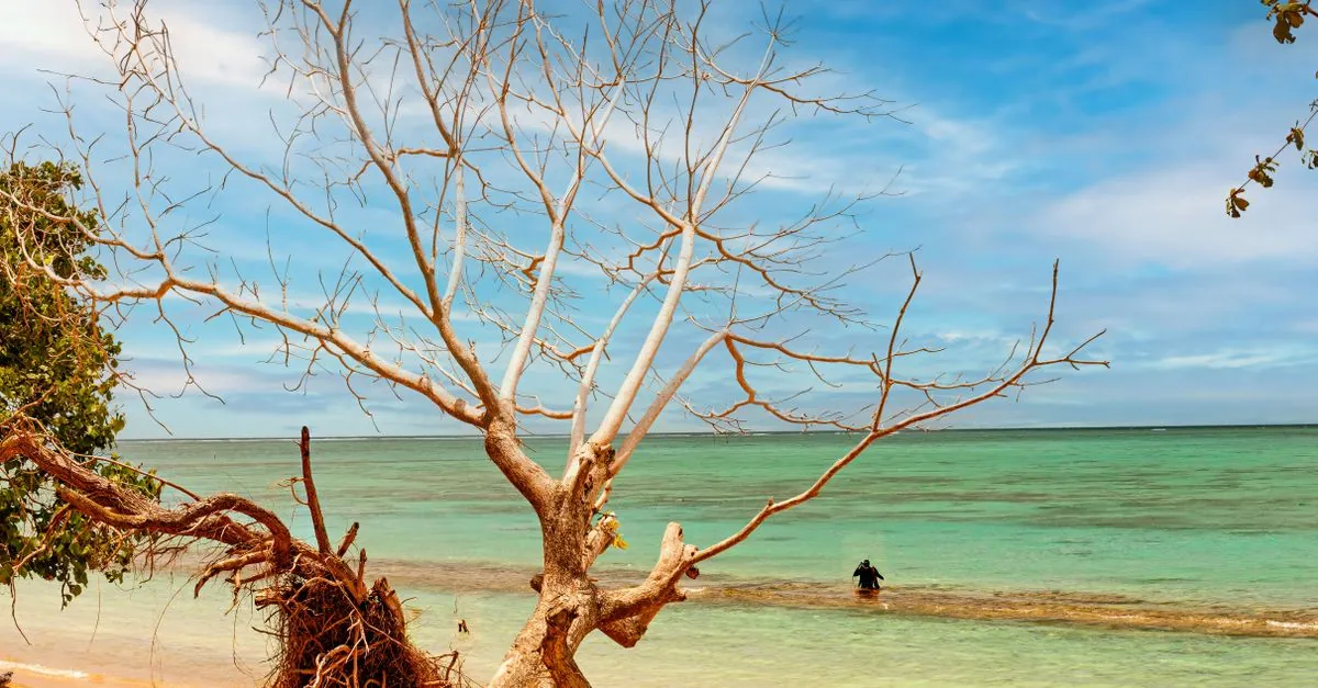Samoa
